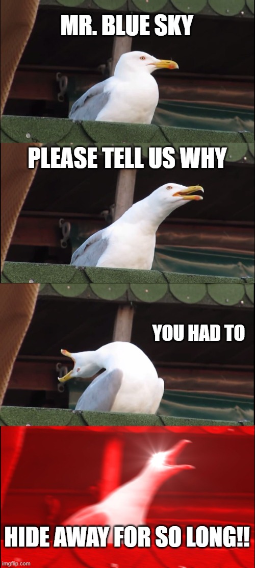 Mr. Blue Sky, tell us | MR. BLUE SKY; PLEASE TELL US WHY; YOU HAD TO; HIDE AWAY FOR SO LONG!! | image tagged in memes,inhaling seagull | made w/ Imgflip meme maker