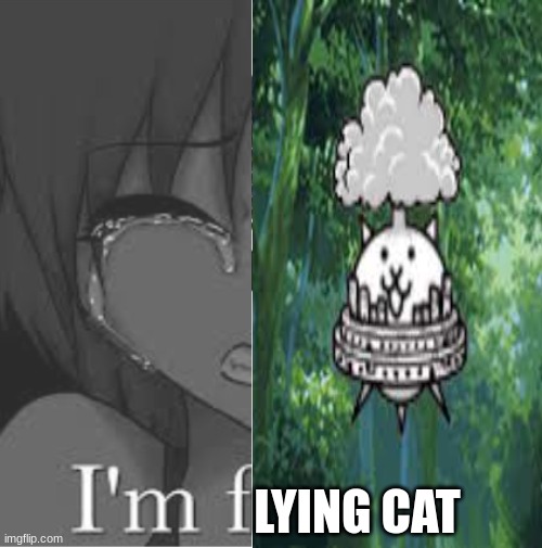 meme | LYING CAT | image tagged in cats | made w/ Imgflip meme maker