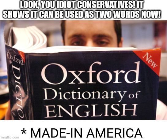 The updated dictionary- Biden Edition | LOOK, YOU IDIOT CONSERVATIVES! IT SHOWS IT CAN BE USED AS TWO WORDS NOW! * MADE-IN AMERICA | image tagged in dictionary,democrats,biden,liberals | made w/ Imgflip meme maker