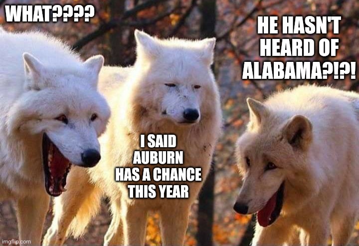 Laughing wolf | WHAT???? HE HASN'T HEARD OF ALABAMA?!?! I SAID AUBURN HAS A CHANCE THIS YEAR | image tagged in laughing wolf | made w/ Imgflip meme maker