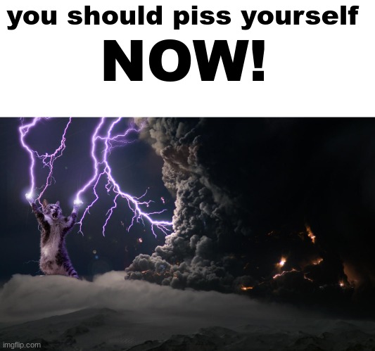 Cat Lightning | you should piss yourself; NOW! | image tagged in cat lightning | made w/ Imgflip meme maker