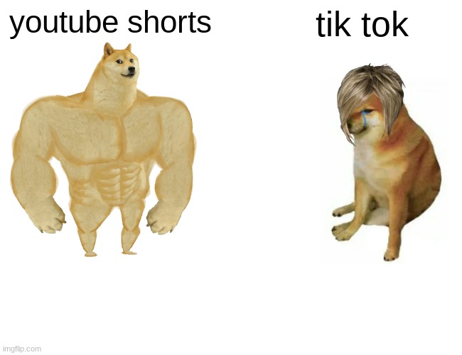 tik tok trash!!!!!!!!!!!!!!!!!!!!!!!!!!!!!! | youtube shorts; tik tok | image tagged in memes,buff doge vs cheems | made w/ Imgflip meme maker