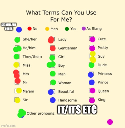 Pronouns Sheet | SIGNIFICANT OTHER; IT/ITS ETC | image tagged in pronouns sheet | made w/ Imgflip meme maker