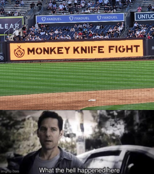 Monkey knife fight | image tagged in what the hell happened here,monkey knife fight,yankees,playoffs | made w/ Imgflip meme maker