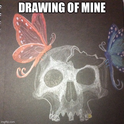 DRAWING OF MINE | image tagged in skull,spooky | made w/ Imgflip meme maker
