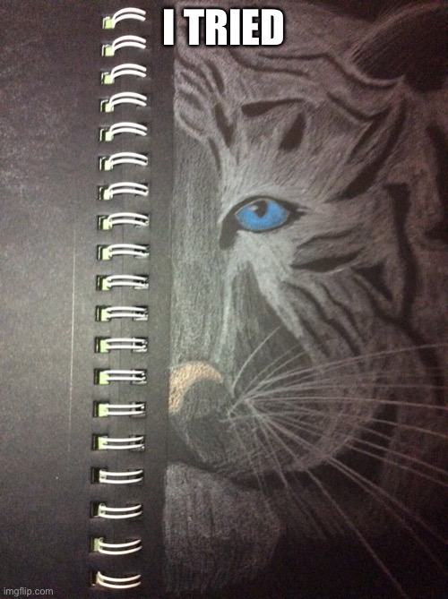Drawing on black paper | I TRIED | image tagged in tiger,art | made w/ Imgflip meme maker