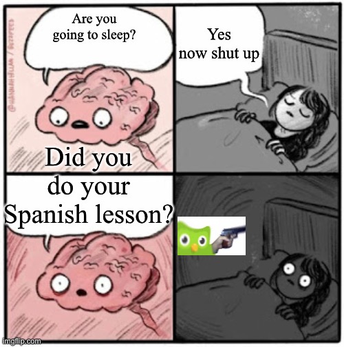 Duolingo owl | Yes now shut up; Are you going to sleep? Did you do your Spanish lesson? | image tagged in brain before sleep | made w/ Imgflip meme maker