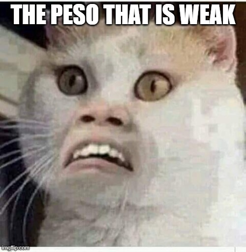 wahahaha | THE PESO THAT IS WEAK | image tagged in haha | made w/ Imgflip meme maker