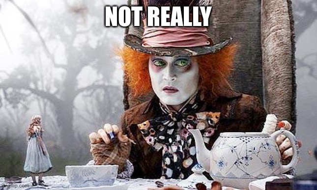 Mad Hatter  | NOT REALLY | image tagged in mad hatter | made w/ Imgflip meme maker