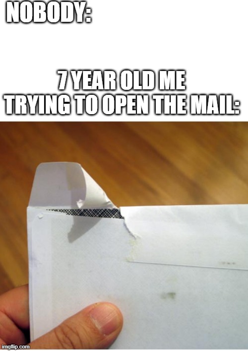 This is relatable | NOBODY:; 7 YEAR OLD ME TRYING TO OPEN THE MAIL: | image tagged in random tag i decided to put | made w/ Imgflip meme maker