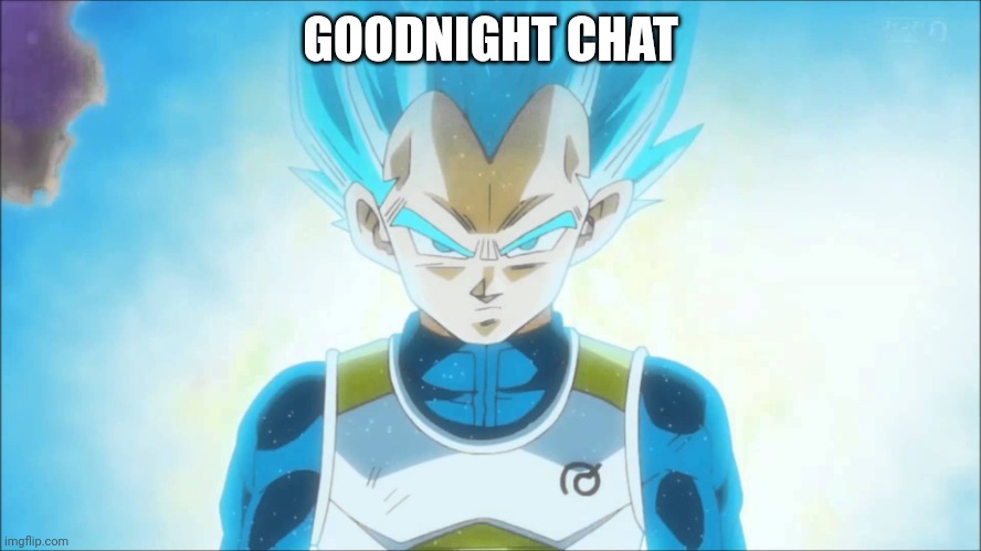 Super Saiyan Blue Vegeta | GOODNIGHT CHAT | image tagged in super saiyan blue vegeta | made w/ Imgflip meme maker