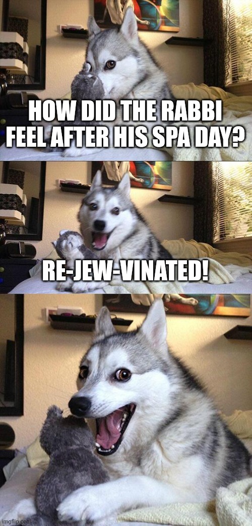 Huh? Huh? | HOW DID THE RABBI FEEL AFTER HIS SPA DAY? RE-JEW-VINATED! | image tagged in memes,bad pun dog | made w/ Imgflip meme maker