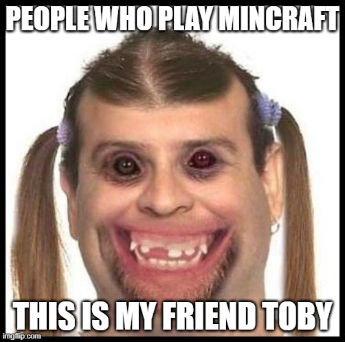 my friend toby | PEOPLE WHO PLAY MINCRAFT; THIS IS MY FRIEND TOBY | image tagged in minecrafter | made w/ Imgflip meme maker
