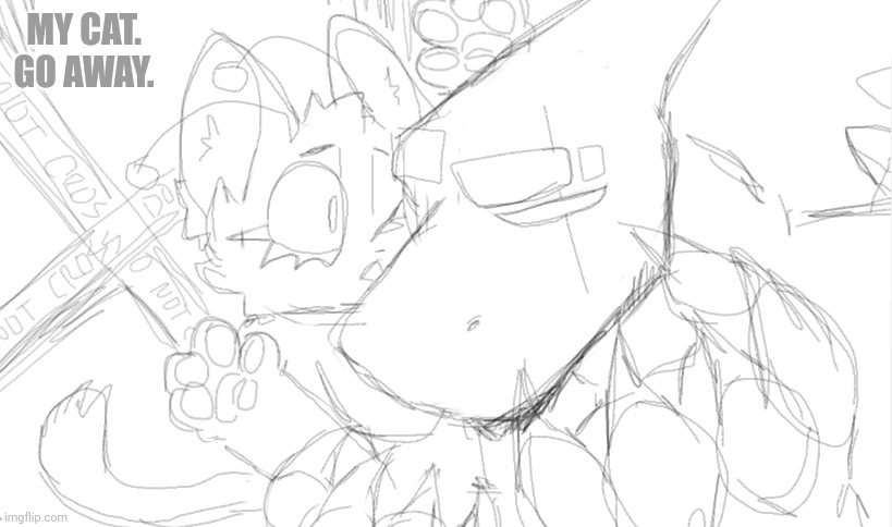Why do my bases look so promising but my finishing results look so bleh | MY CAT. GO AWAY. | made w/ Imgflip meme maker