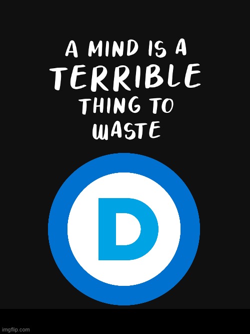 All I can think of is Morgan Wallen’s ‘Wasted On You’... | image tagged in politics,democrats,wasted,waste of time,waste of money,wasted minds | made w/ Imgflip meme maker