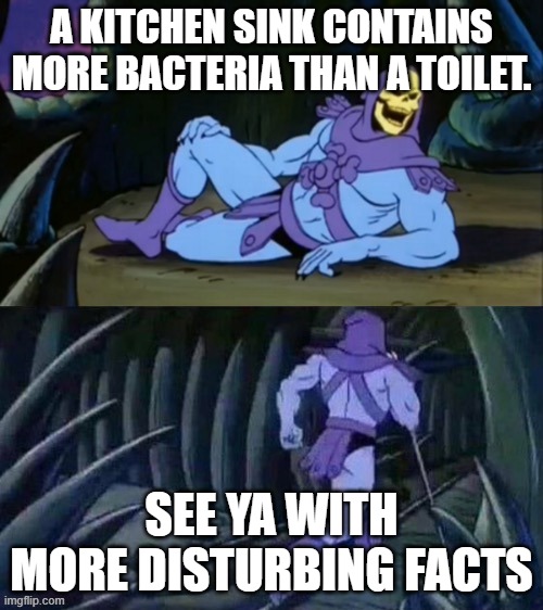 Remember 5 seconds ago when this never exists? | A KITCHEN SINK CONTAINS MORE BACTERIA THAN A TOILET. SEE YA WITH MORE DISTURBING FACTS | image tagged in skeletor disturbing facts | made w/ Imgflip meme maker