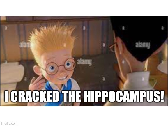 I CRACKED THE HIPPOCAMPUS! | made w/ Imgflip meme maker