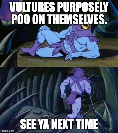 Remember 5 seconds ago when this never exists? Part 2 | VULTURES PURPOSELY POO ON THEMSELVES. SEE YA NEXT TIME | image tagged in skeletor disturbing facts | made w/ Imgflip meme maker