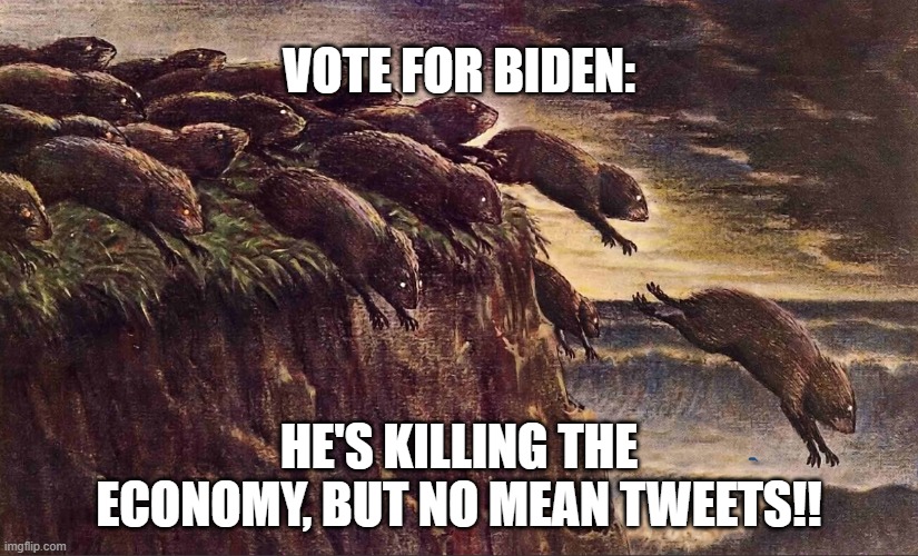 Vote BLUE and keep the country on the road to ruin, but hey, at least No Mean Tweets! | VOTE FOR BIDEN:; HE'S KILLING THE ECONOMY, BUT NO MEAN TWEETS!! | image tagged in liberal logic,liberalism | made w/ Imgflip meme maker