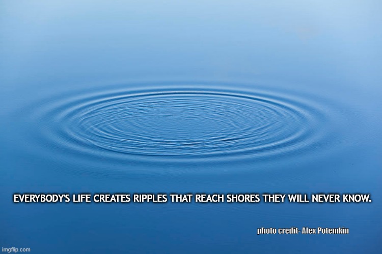 Life creates ripples. |  EVERYBODY'S LIFE CREATES RIPPLES THAT REACH SHORES THEY WILL NEVER KNOW. photo credit- Alex Potemkin | image tagged in teach,live,love | made w/ Imgflip meme maker