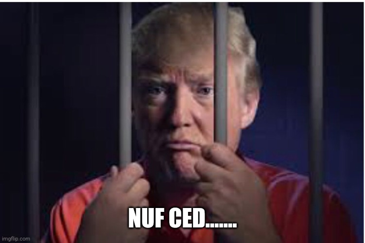 Trump in jail | NUF CED....... | image tagged in trump is an asshole,donald trump you're fired | made w/ Imgflip meme maker