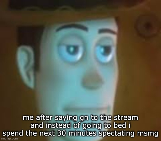 I wanna go to bed but at the same time i don't | me after saying gn to the stream and instead of going to bed i spend the next 30 minutes spectating msmg | image tagged in disappointed woody | made w/ Imgflip meme maker