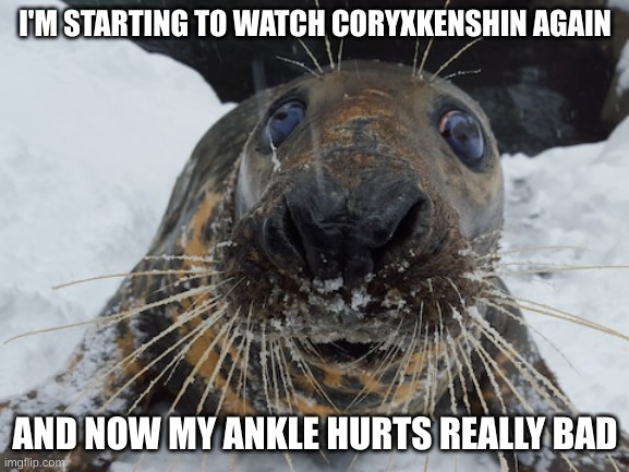this can't be a coincidence!!!1!!!1!!!! | I'M STARTING TO WATCH CORYXKENSHIN AGAIN; AND NOW MY ANKLE HURTS REALLY BAD | image tagged in his name's bim bim | made w/ Imgflip meme maker
