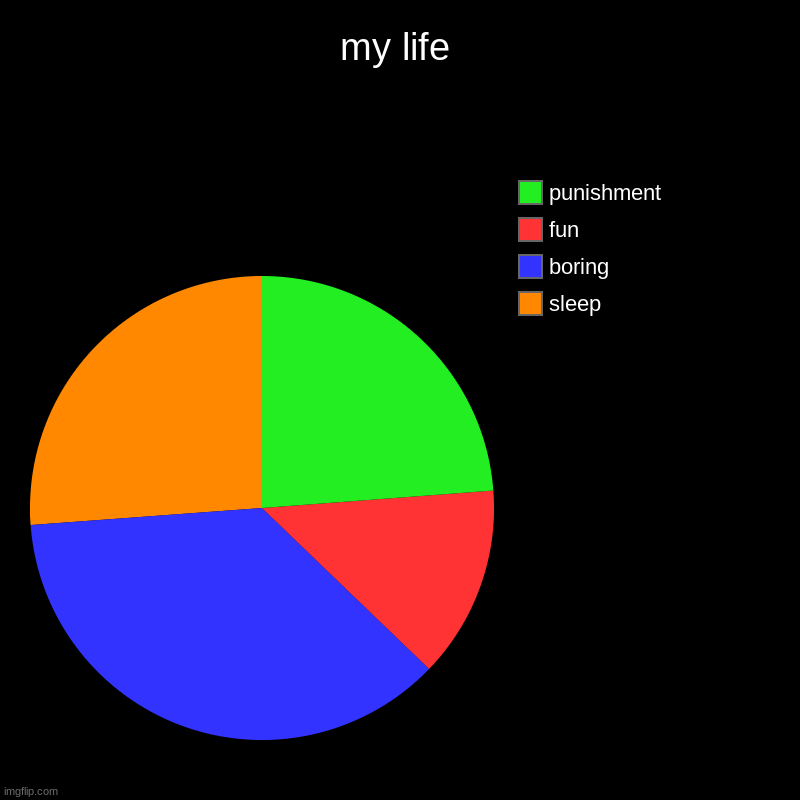 my life | sleep, boring, fun, punishment | image tagged in charts,pie charts | made w/ Imgflip chart maker