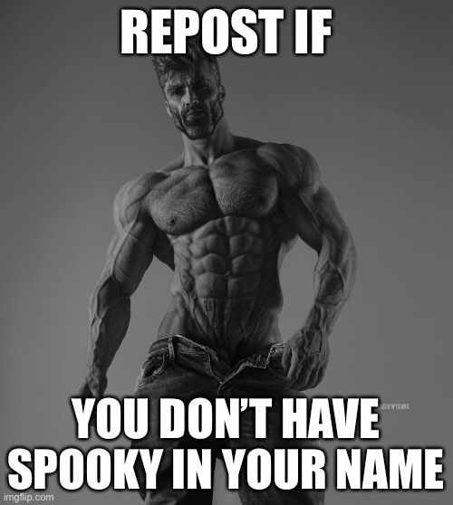 Sigma people lack spooky. We attract women not spook them off | REPOST IF; YOU DON’T HAVE SPOOKY IN YOUR NAME | image tagged in giga chad | made w/ Imgflip meme maker