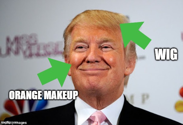 Donald trump approves | WIG ORANGE MAKEUP | image tagged in donald trump approves | made w/ Imgflip meme maker