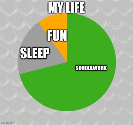 Pie chart | MY LIFE SCHOOLWORK SLEEP FUN | image tagged in pie chart | made w/ Imgflip meme maker