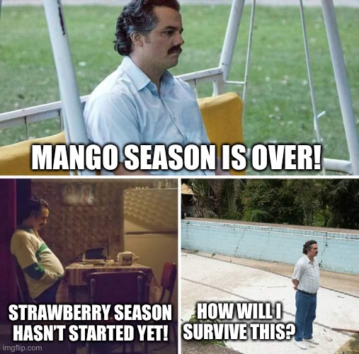 Mango and strawberry love! | MANGO SEASON IS OVER! STRAWBERRY SEASON HASN’T STARTED YET! HOW WILL I SURVIVE THIS? | image tagged in memes,sad pablo escobar | made w/ Imgflip meme maker