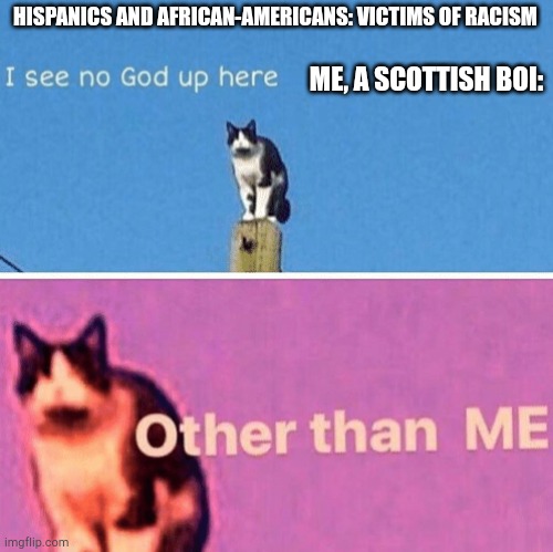 Hail pole cat | HISPANICS AND AFRICAN-AMERICANS: VICTIMS OF RACISM; ME, A SCOTTISH BOI: | image tagged in hail pole cat | made w/ Imgflip meme maker