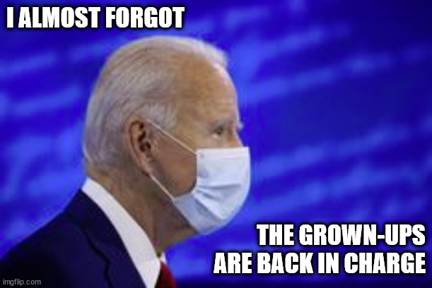 I ALMOST FORGOT; THE GROWN-UPS
ARE BACK IN CHARGE | image tagged in what was that | made w/ Imgflip meme maker
