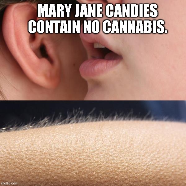 Whisper and goosebumps | MARY JANE CANDIES CONTAIN NO CANNABIS. | image tagged in whisper and goosebumps,memes,humor,mary jane candy,happy halloween | made w/ Imgflip meme maker