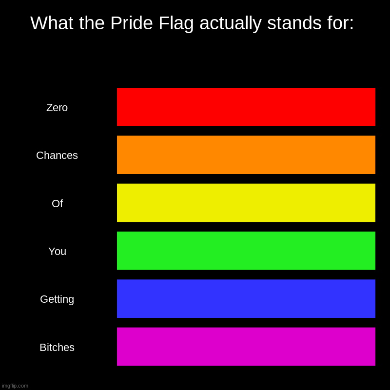If someone waves their rainbow in my face and Im minding my business, im waving this in their face. | What the Pride Flag actually stands for: | Zero, Chances, Of, You, Getting, Bitches | image tagged in charts,bar charts | made w/ Imgflip chart maker