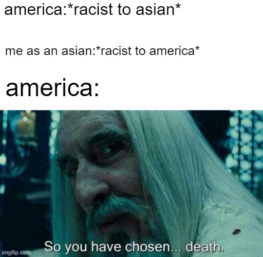 So you have chosen death | america:*racist to asian*; me as an asian:*racist to america*; america: | image tagged in so you have chosen death | made w/ Imgflip meme maker