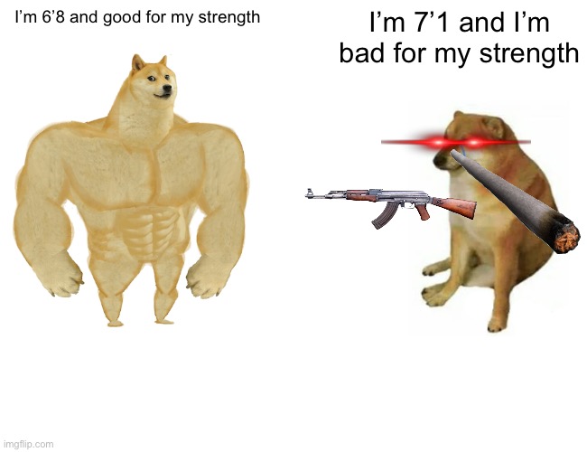 Buff Doge vs. Cheems | I’m 6’8 and good for my strength; I’m 7’1 and I’m bad for my strength | image tagged in memes,buff doge vs cheems | made w/ Imgflip meme maker