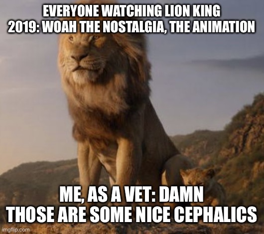 Vet meme lion king | EVERYONE WATCHING LION KING 2019: WOAH THE NOSTALGIA, THE ANIMATION; ME, AS A VET: DAMN THOSE ARE SOME NICE CEPHALICS | image tagged in vet meme lion king | made w/ Imgflip meme maker