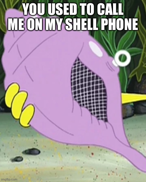 Conch meme | YOU USED TO CALL ME ON MY SHELL PHONE | image tagged in spongebob,magic conch,spongebob magic conch,drake,drake hotline bling | made w/ Imgflip meme maker
