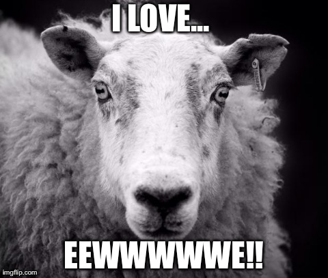 I LOVE... EEWWWWWE!! | image tagged in ewe | made w/ Imgflip meme maker