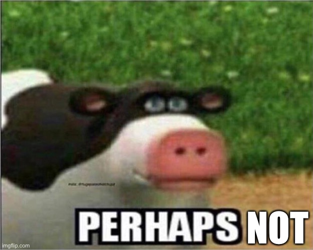 Perhaps Cow | NOT | image tagged in perhaps cow | made w/ Imgflip meme maker