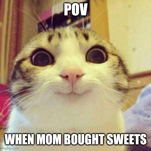 Smiling Cat Meme | POV; WHEN MOM BOUGHT SWEETS | image tagged in memes,smiling cat | made w/ Imgflip meme maker