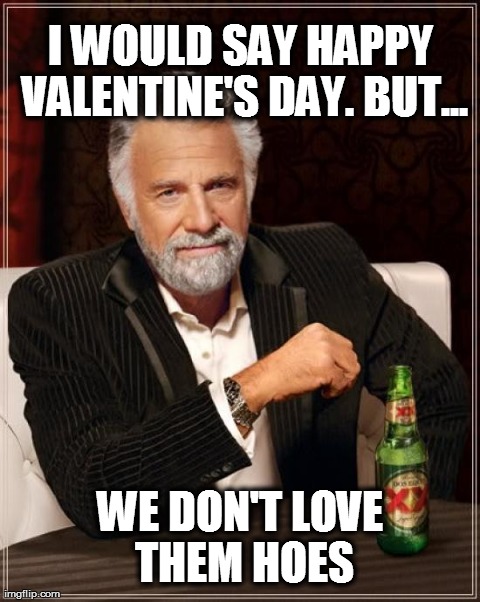 The Most Interesting Man In The World | I WOULD SAY HAPPY VALENTINE'S DAY. BUT... WE DON'T LOVE THEM HOES | image tagged in memes,the most interesting man in the world | made w/ Imgflip meme maker