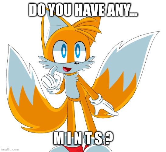 DO YOU HAVE ANY... M I N T S ? | image tagged in tails | made w/ Imgflip meme maker