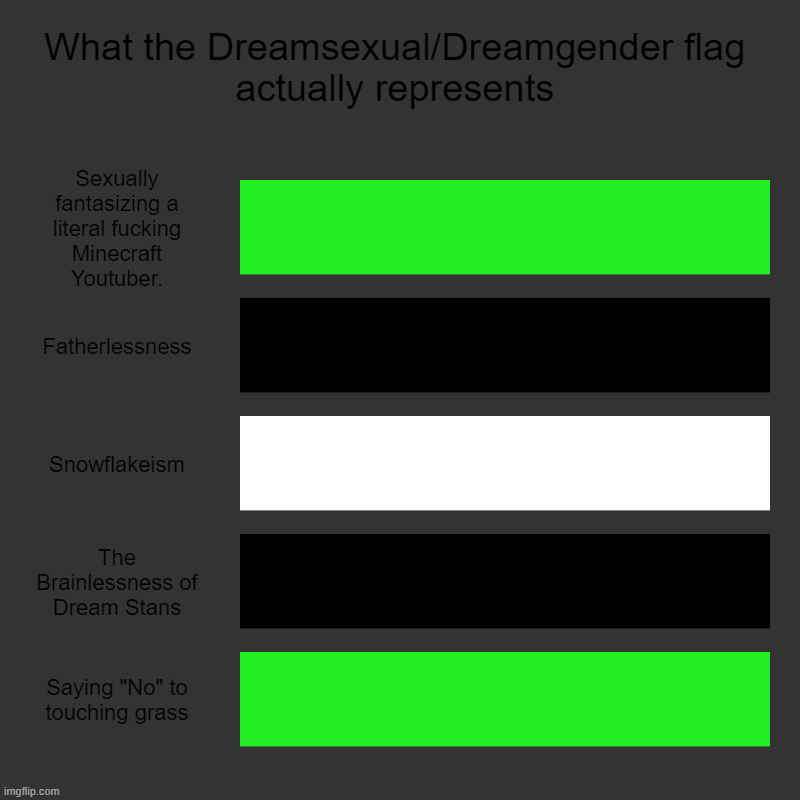 FYI: Snowflakeism is an attribute found among snowflakes/clowns/idiots. | What the Dreamsexual/Dreamgender flag actually represents | Sexually fantasizing a literal fucking Minecraft Youtuber., Fatherlessness, Snow | image tagged in charts,bar charts | made w/ Imgflip chart maker