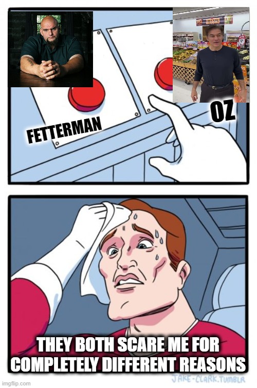 Guess I need to learn more about Fetterman, book cover judge and all that. | OZ; FETTERMAN; THEY BOTH SCARE ME FOR COMPLETELY DIFFERENT REASONS | image tagged in memes,two buttons,politics,pennsylvania | made w/ Imgflip meme maker
