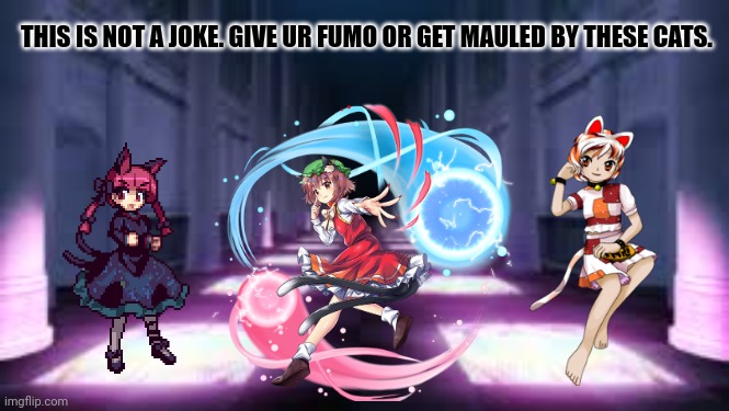 THIS IS NOT A JOKE. GIVE UR FUMO OR GET MAULED BY THESE CATS. | image tagged in memes,touhou,cat | made w/ Imgflip meme maker