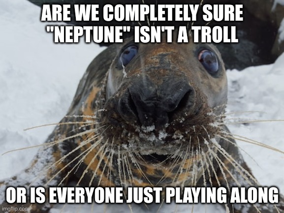 his name's bim bim | ARE WE COMPLETELY SURE "NEPTUNE" ISN'T A TROLL; OR IS EVERYONE JUST PLAYING ALONG | image tagged in his name's bim bim | made w/ Imgflip meme maker