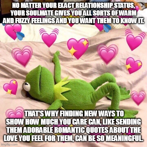 kermit in love | NO MATTER YOUR EXACT RELATIONSHIP STATUS, YOUR SOULMATE GIVES YOU ALL SORTS OF WARM AND FUZZY FEELINGS AND YOU WANT THEM TO KNOW IT. THAT’S WHY FINDING NEW WAYS TO SHOW HOW MUCH YOU CARE CAN, LIKE SENDING THEM ADORABLE ROMANTIC QUOTES ABOUT THE LOVE YOU FEEL FOR THEM, CAN BE SO MEANINGFUL. | image tagged in kermit in love | made w/ Imgflip meme maker